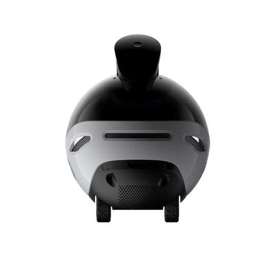 EnaBot EBO X - rodzinny, mobilny robot monitorujący z AI