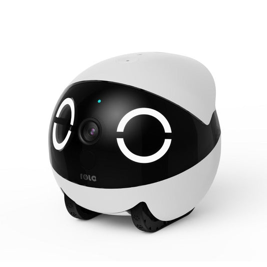 EnaBot Rola Mini - robot monitorujący dla psów i kotów