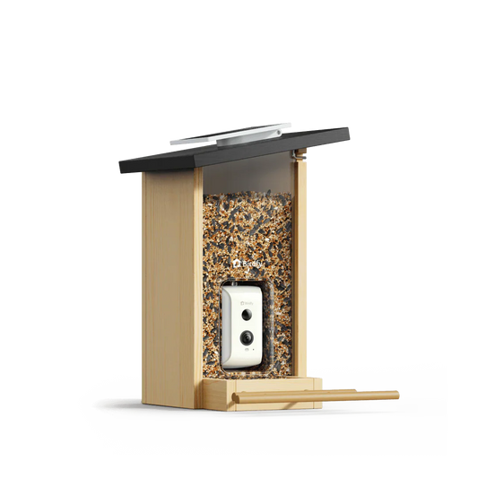 Birdfy Feeder Ebony LE - karmnik dla ptaków z kamerą