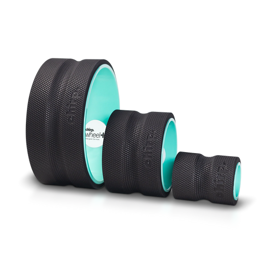 Chirp Wheel Plus 3 pk 4", 6", 10" - zestaw 3 kół do ćwiczeń, stretchingu, rehabilitacji, jogi, pilatesu 4", 6", 10" (3szt)