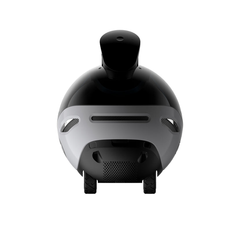 EnaBot EBO X - rodzinny, mobilny robot monitorujący z AI