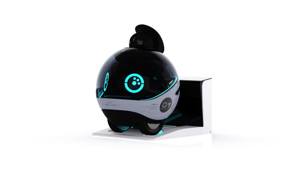 EnaBot EBO X - rodzinny, mobilny robot monitorujący z AI