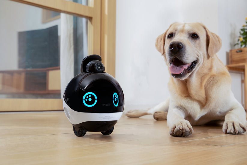 EnaBot EBO X - rodzinny, mobilny robot monitorujący z AI