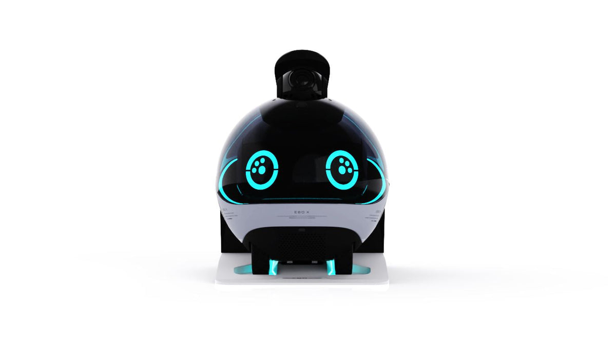EnaBot EBO X - rodzinny, mobilny robot monitorujący z AI