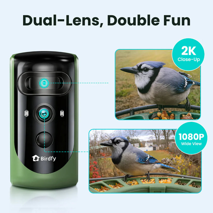 Birdfy Feeder 2 Pro AI - karmnik dla ptaków z kamera i AI z rozpoznawaniem gatunków