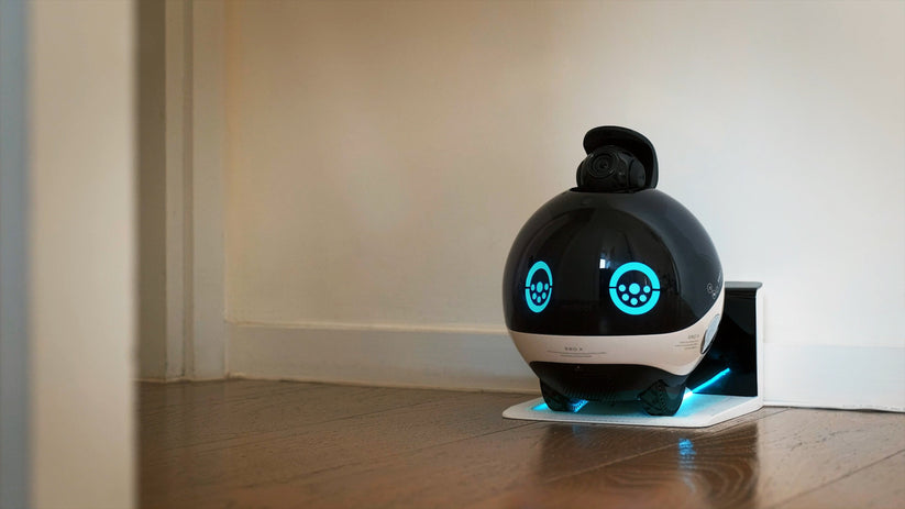 EnaBot EBO X - rodzinny, mobilny robot monitorujący z AI