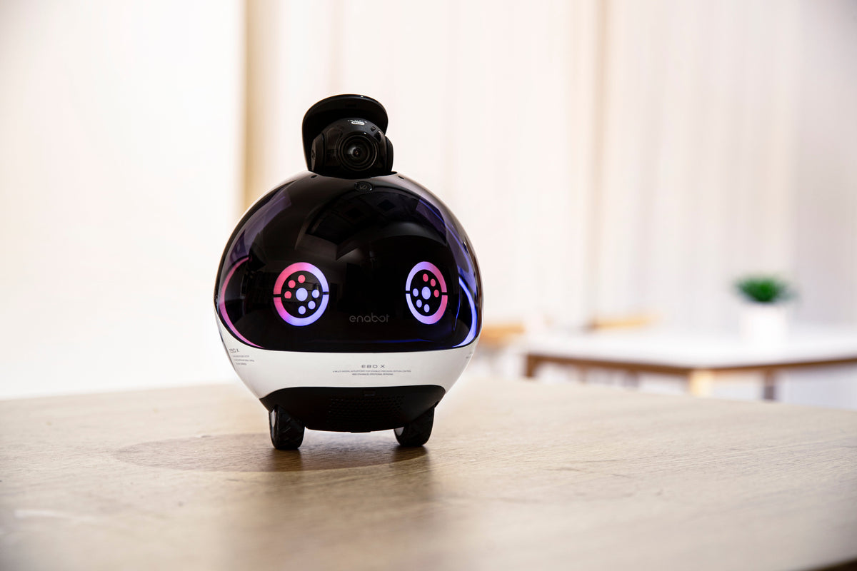 EnaBot EBO X - rodzinny, mobilny robot monitorujący z AI