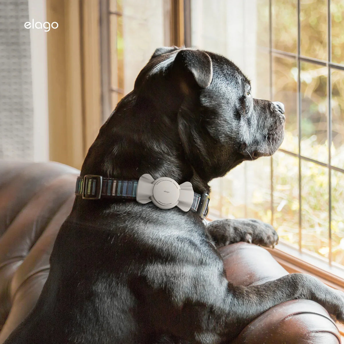 Elago Airtag Pet Collar Case - etui na obrożę miętowe