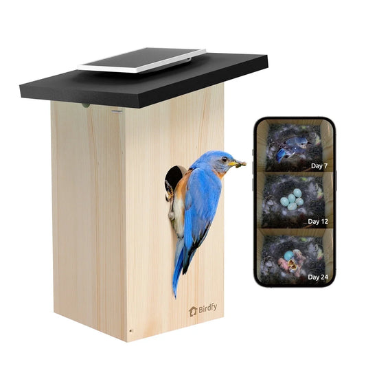 Birdfy House Ebony - inteligentny domek legowy z kamera i panelem slonecznym