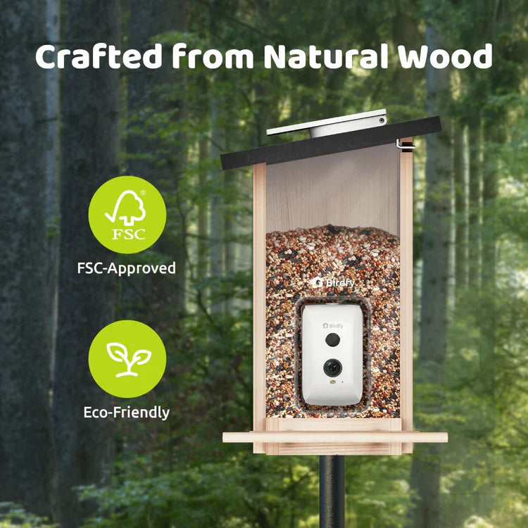 Birdfy Feeder Ebony LE - karmnik dla ptaków z kamerą