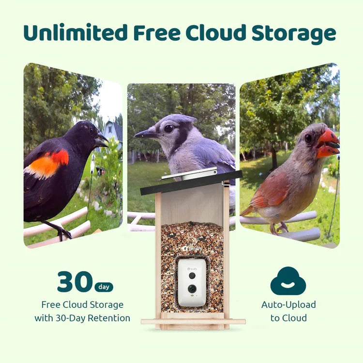 Birdfy Feeder Ebony LE - karmnik dla ptaków z kamerą