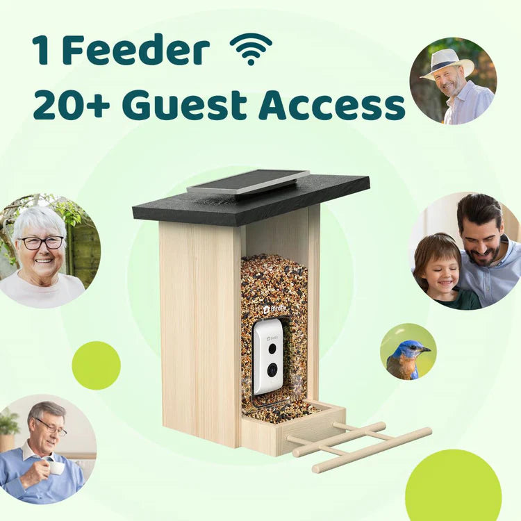 Birdfy Feeder Ebony LE - karmnik dla ptaków z kamerą