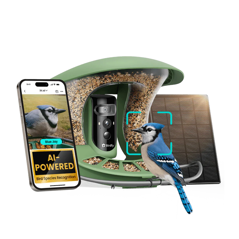 Birdfy Feeder 2 Pro AI - karmnik dla ptaków z kamera i AI z rozpoznawaniem gatunków