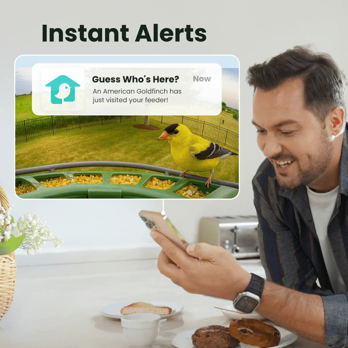 Birdfy Feeder 2 Pro AI - karmnik dla ptaków z kamera i AI z rozpoznawaniem gatunków