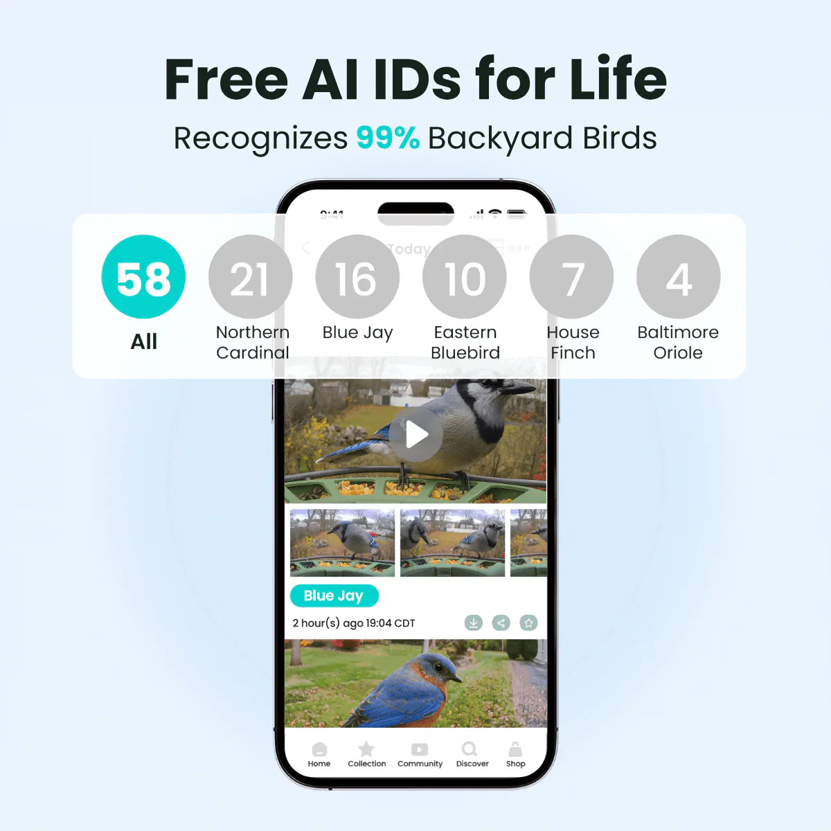 Birdfy Feeder 2 Pro AI - karmnik dla ptaków z kamera i AI z rozpoznawaniem gatunków