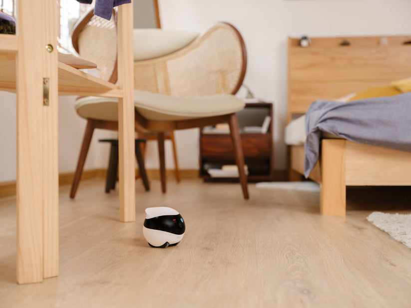 EnaBot EBO SE - domowy, mobilny robot monitorujący