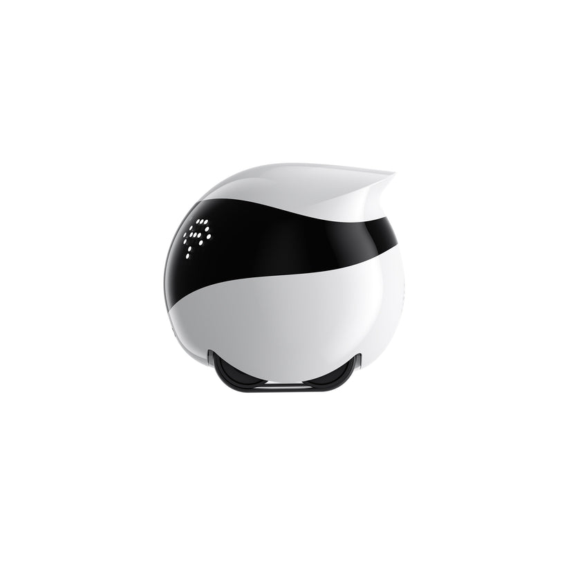 EnaBot EBO AIR 2 - domowy, mobilny robot monitorujący