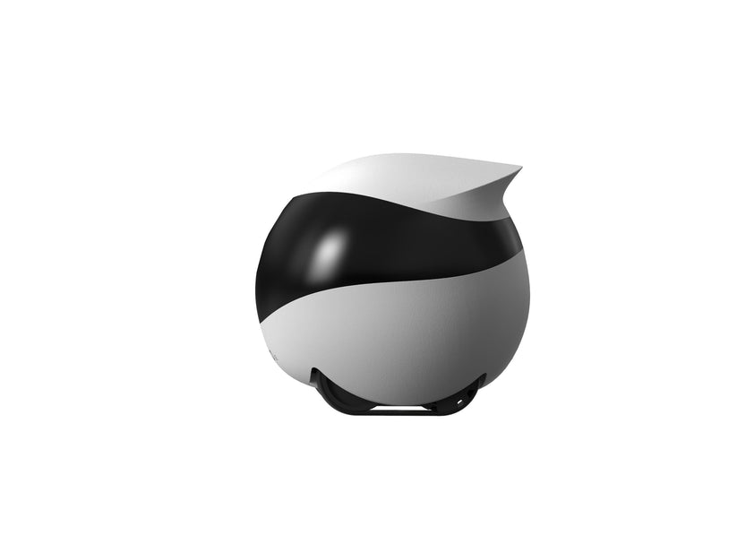 EnaBot EBO SE - domowy, mobilny robot monitorujący