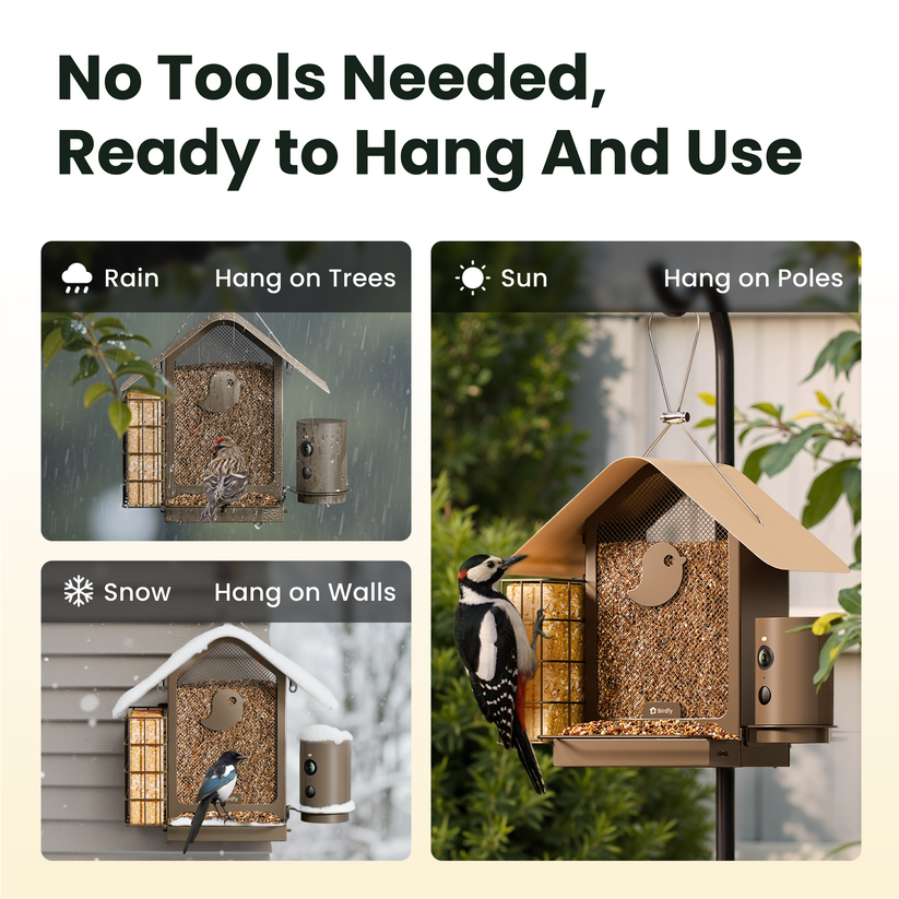 Birdfy Feeder Metal V - karmnik dla ptaków z kamerą