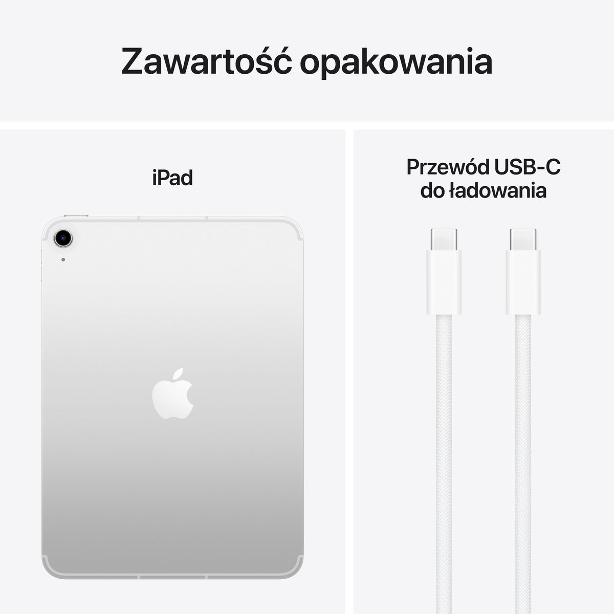 iPad_A16_Cellular_Silver_PDP_Image_Position_8__pl-PL