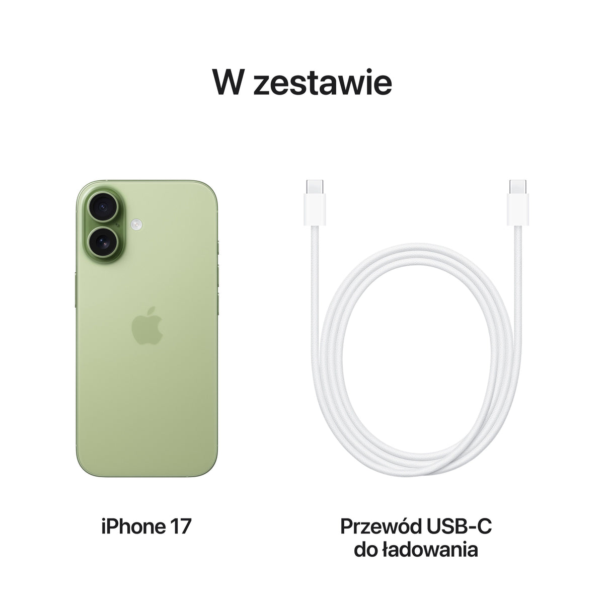 iPhone_17_Sage_PDP_Image_Position_8__pl-PL