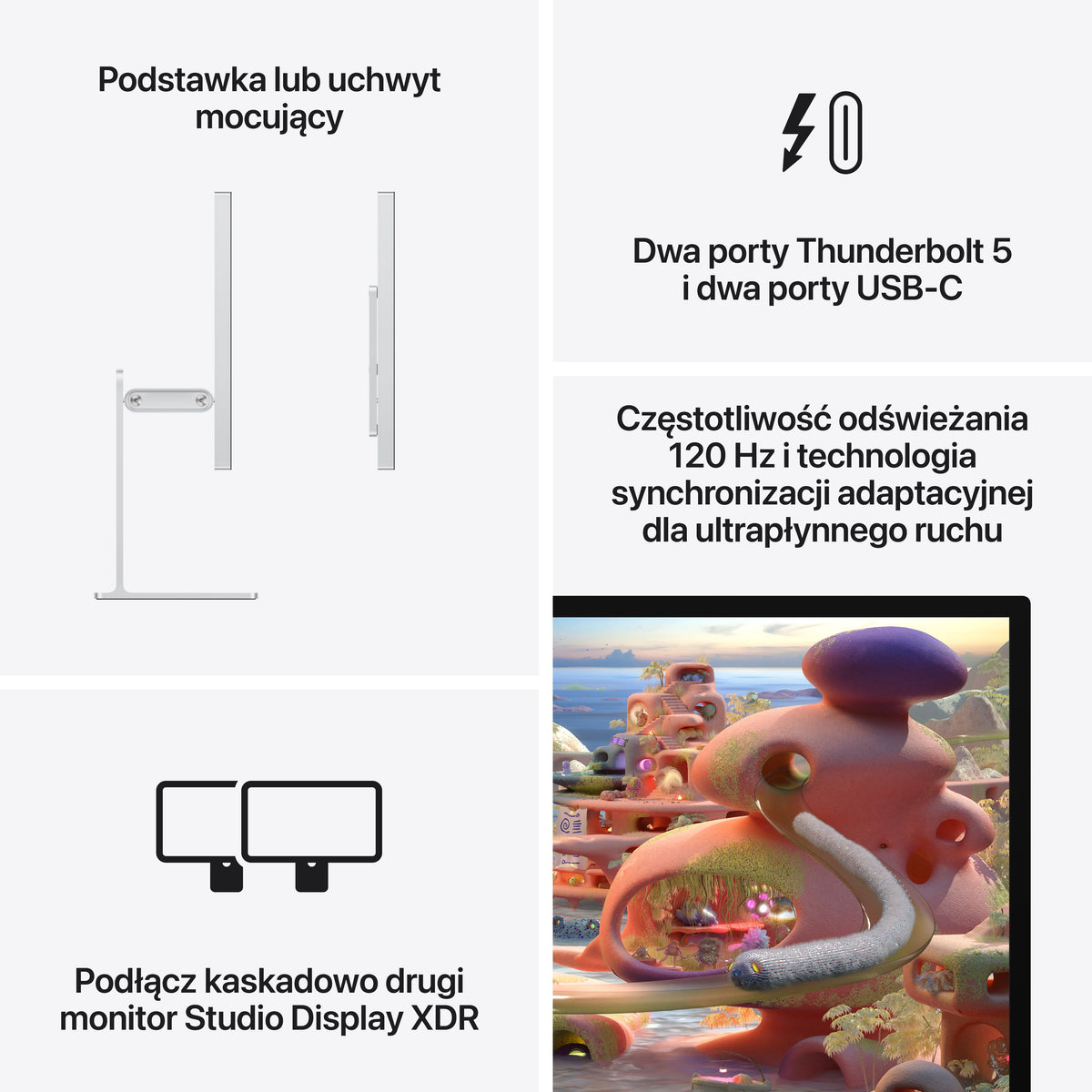 Studio_Display_XDR_PDP_Image_Position_8__pl_PL