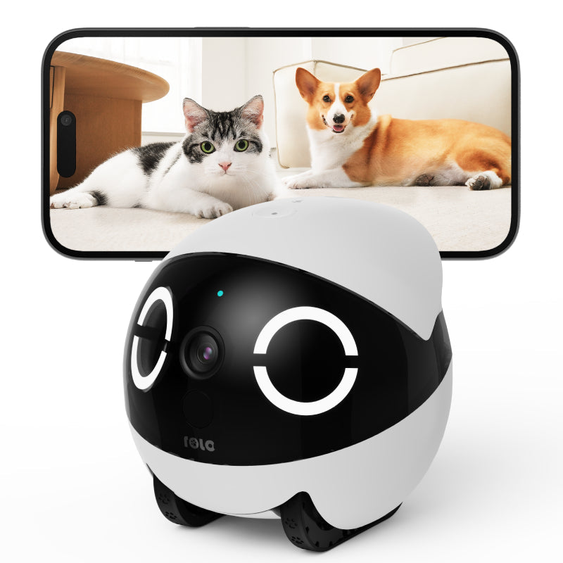 EnaBot Rola Mini - robot monitorujący dla psów i kotów