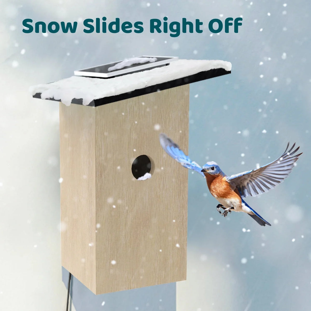 Birdfy House Ebony - inteligentny domek lęgowy z kamerą i panelem słonecznym