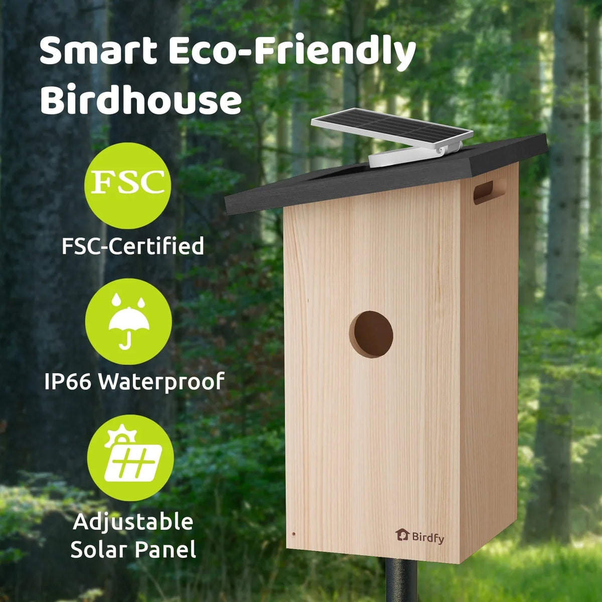 Birdfy House Ebony - inteligentny domek lęgowy z kamerą i panelem słonecznym
