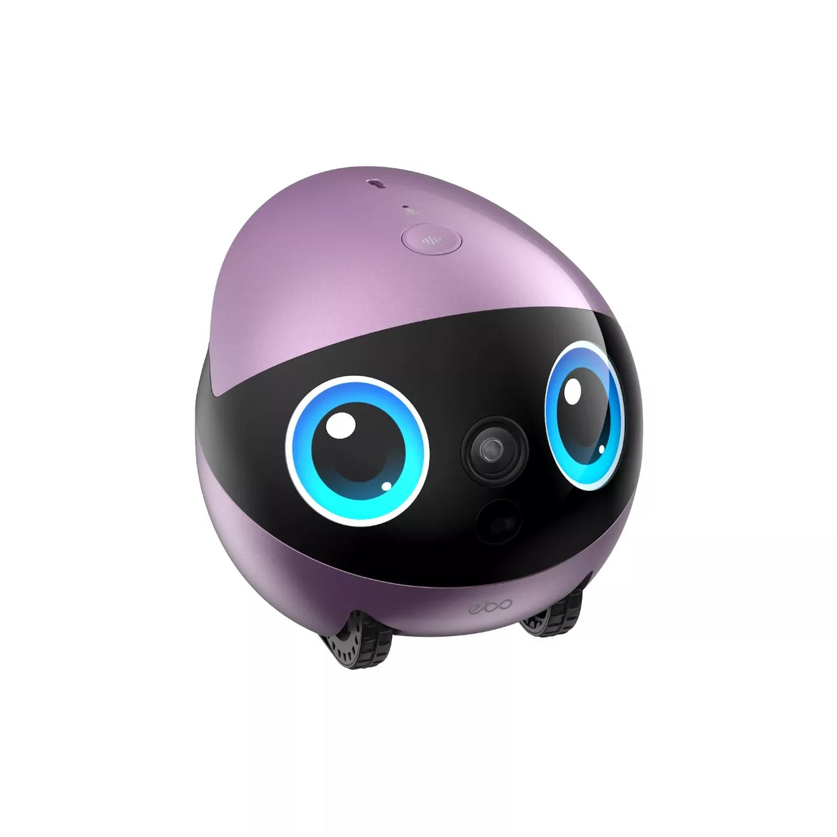 EnaBot - EBO AIR 2 Plus - domowy robot towarzyszący z funkcją monitoringu i rozmów video purpurowy