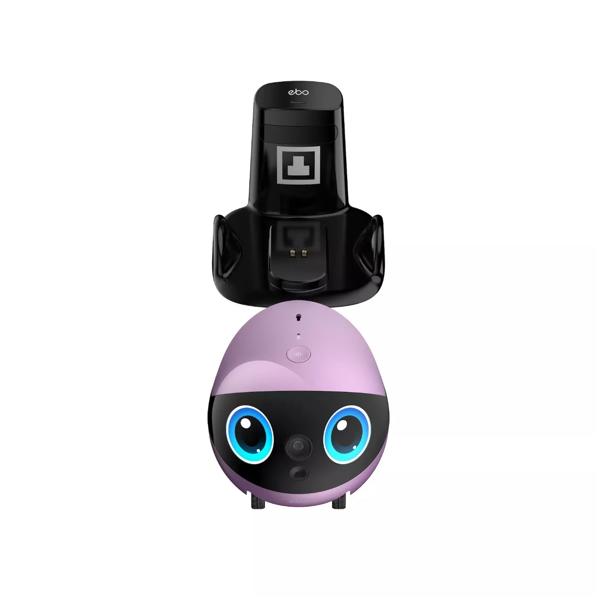 EnaBot - EBO AIR 2 Plus - domowy robot towarzyszący z funkcją monitoringu i rozmów video purpurowy