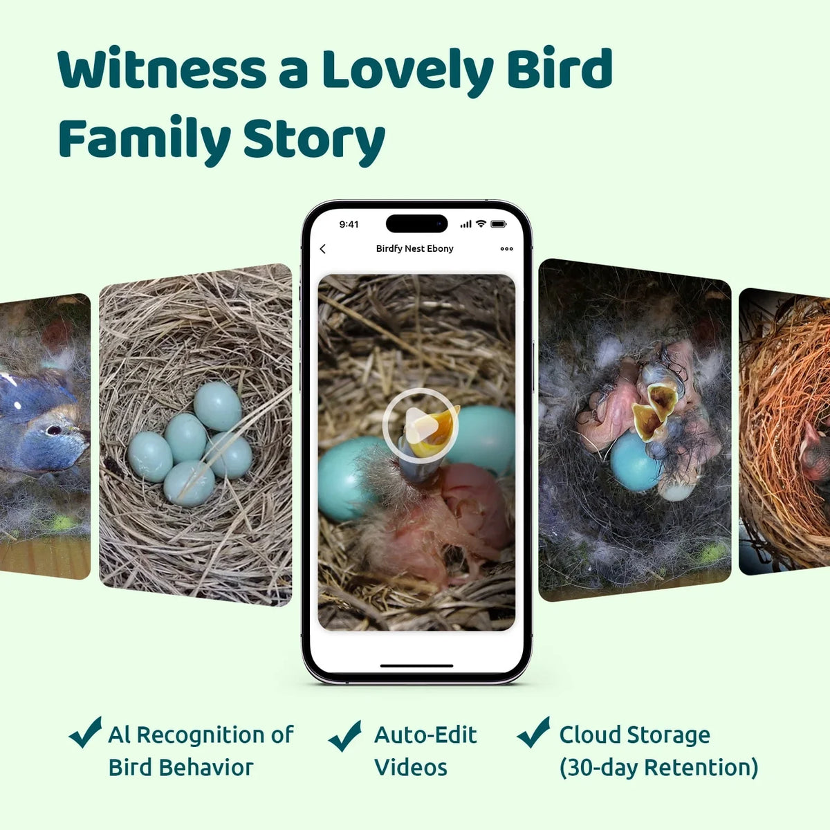 Birdfy House Ebony - inteligentny domek lęgowy z kamerą i panelem słonecznym