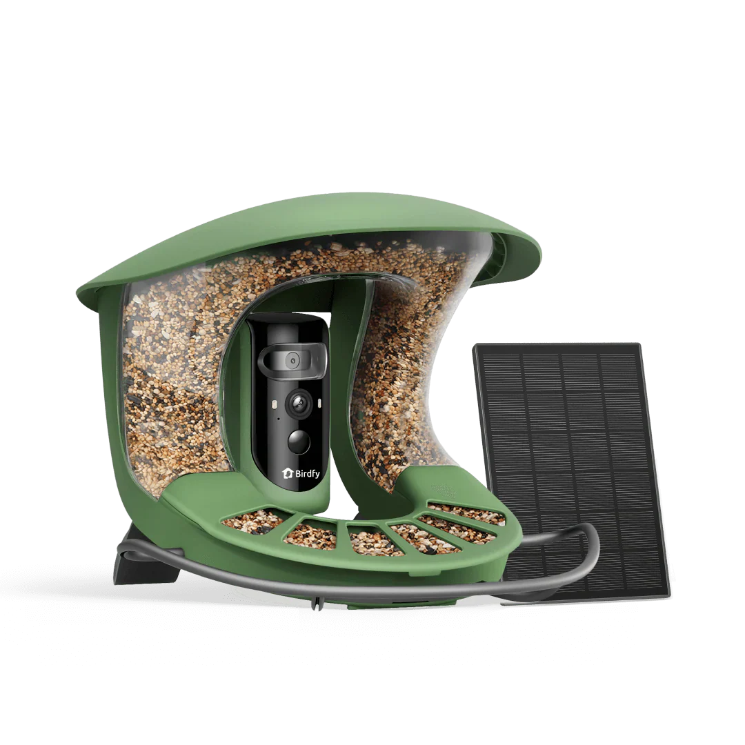 Birdfy Feeder 2 Pro AI - karmnik dla ptaków z kamera i AI z rozpoznawaniem gatunków
