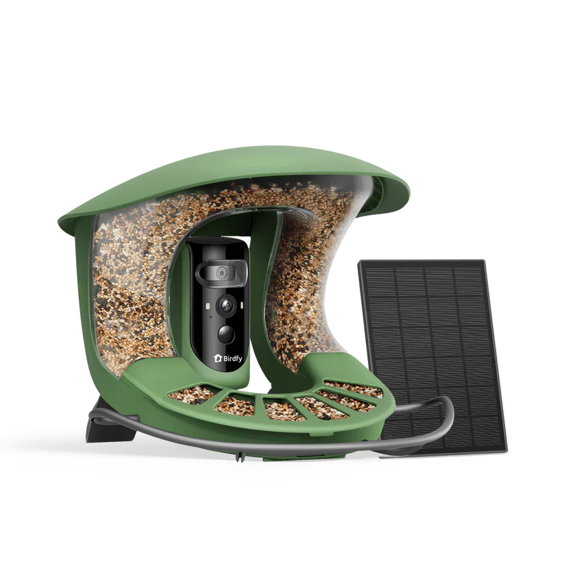 Birdfy Feeder 2 Pro AI - karmnik dla ptaków z kamera i AI z rozpoznawaniem gatunków