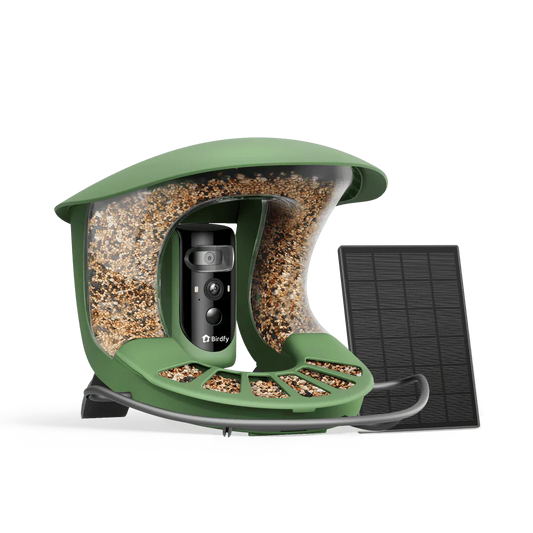 Birdfy Feeder 2 Pro AI - karmnik dla ptaków z kamera i AI z rozpoznawaniem gatunków