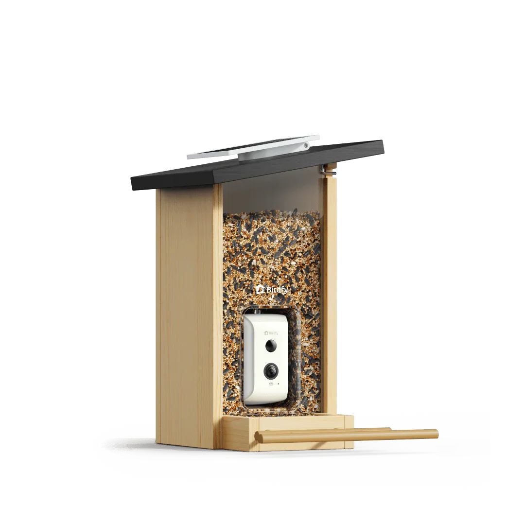 Birdfy Feeder Ebony LE - karmnik dla ptaków z kamerą