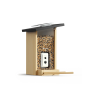 Birdfy Feeder Ebony LE - karmnik dla ptaków z kamerą