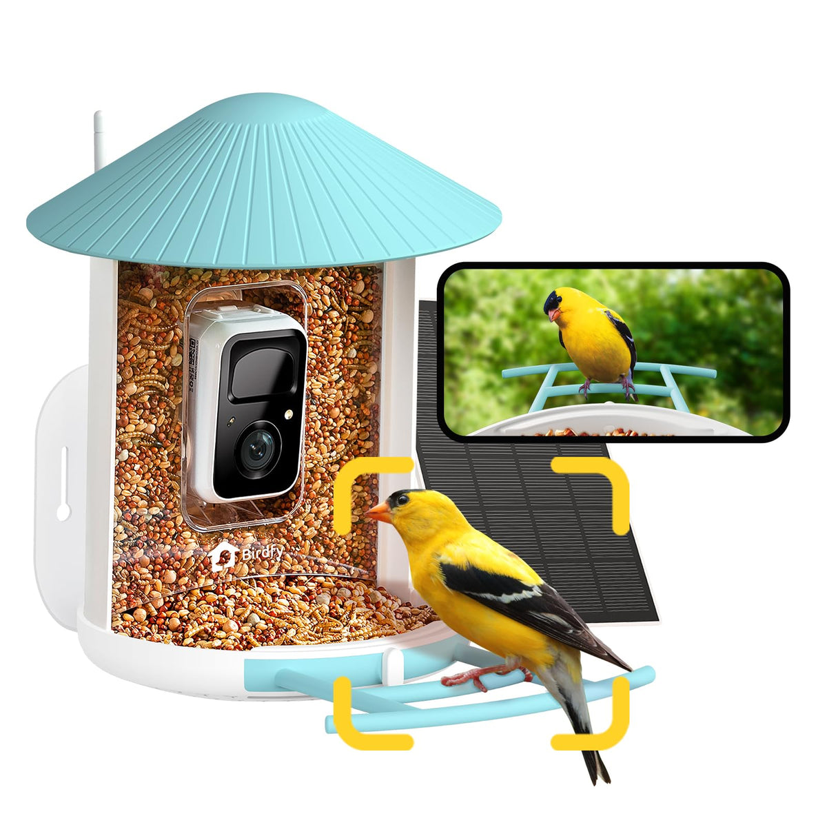 Birdfy Feeder z panelem słonecznym – karmnik z kamerą i AI