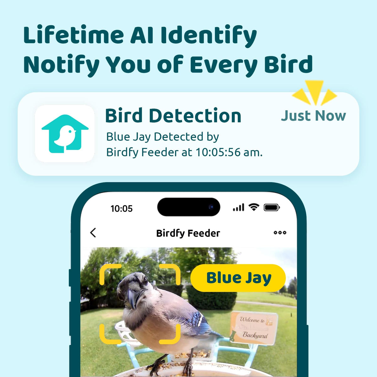 Birdfy Feeder z panelem słonecznym – karmnik z kamerą i AI