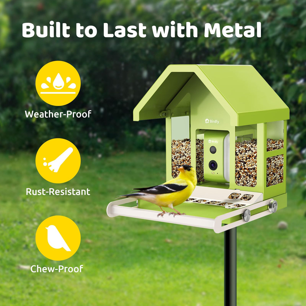 Birdfy Feeder Metal – wytrzymały, inteligentny karmnik z kamerą wykonany z metalu dla miłośników ptaków