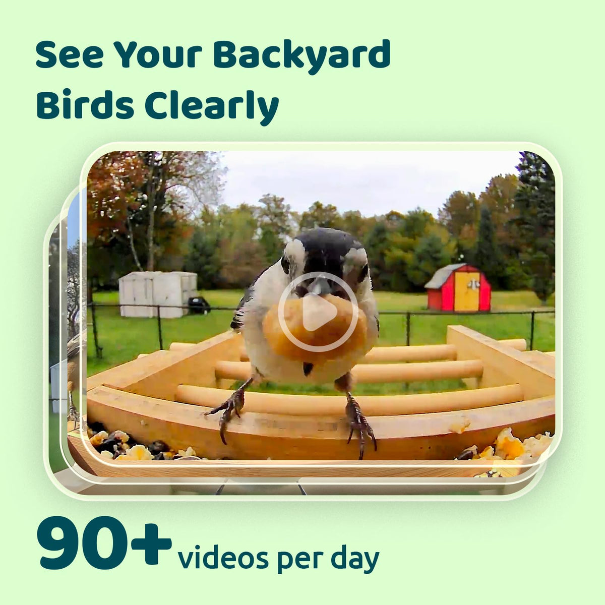 Birdfy Feeder Bamboo – stylowy, ekologiczny karmnik z kamerą i AI