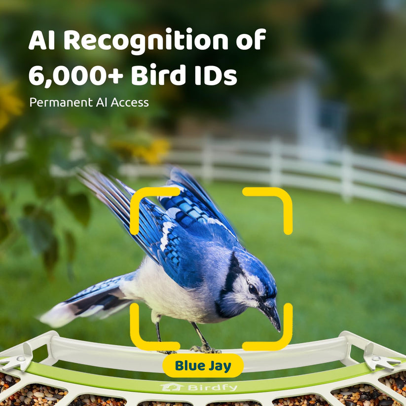 Birdfy Feeder Metal – wytrzymały, inteligentny karmnik z kamerą wykonany z metalu dla miłośników ptaków