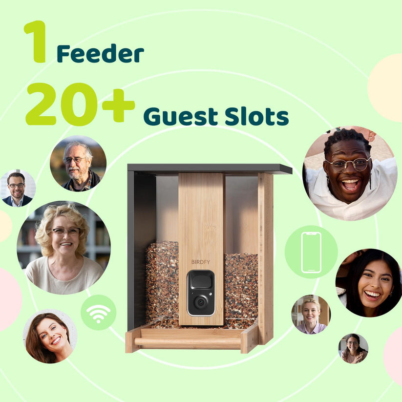 Birdfy Feeder Bamboo – stylowy, ekologiczny karmnik z kamerą i AI