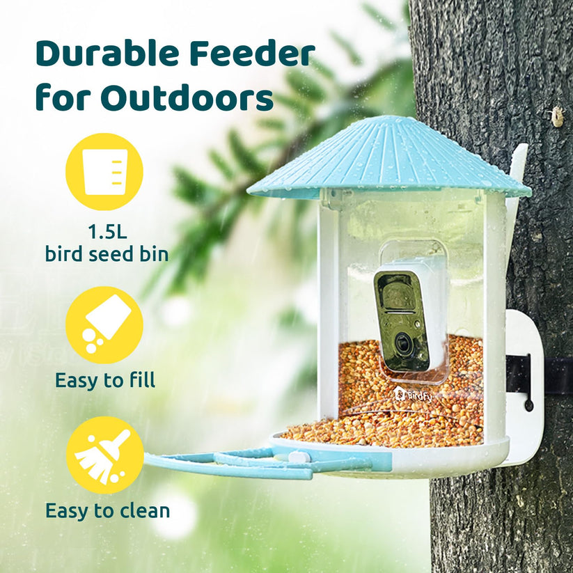 Birdfy Feeder z panelem słonecznym – karmnik z kamerą i AI