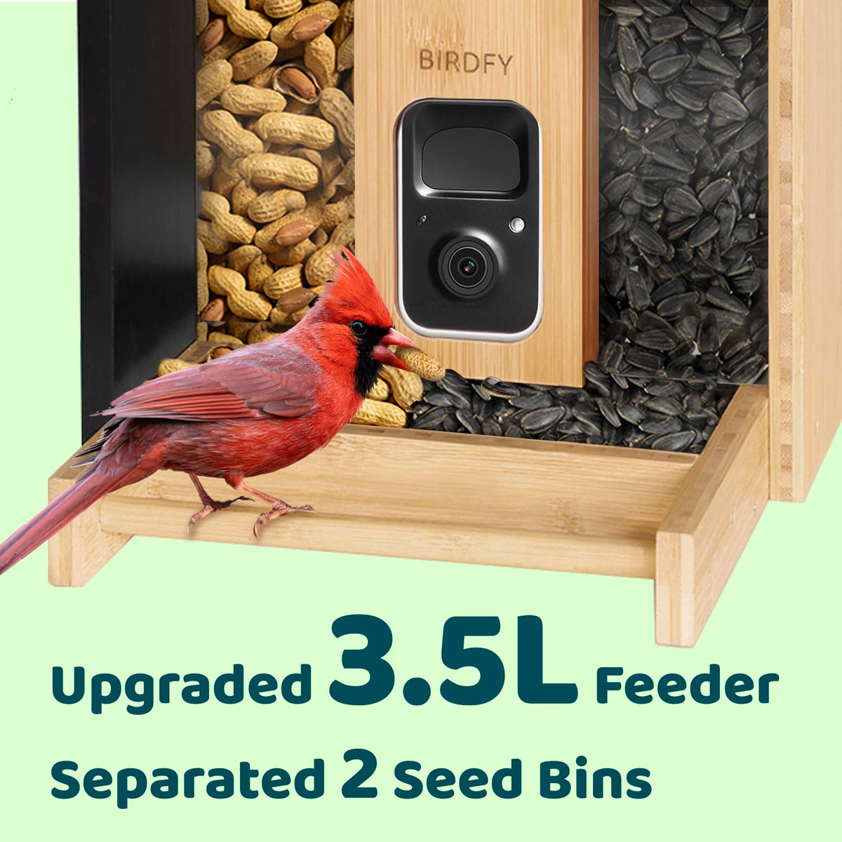 Birdfy Feeder Bamboo – stylowy, ekologiczny karmnik z kamerą i AI