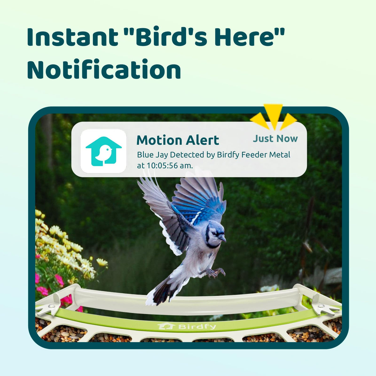 Birdfy Feeder Metal – wytrzymały, inteligentny karmnik z kamerą wykonany z metalu dla miłośników ptaków