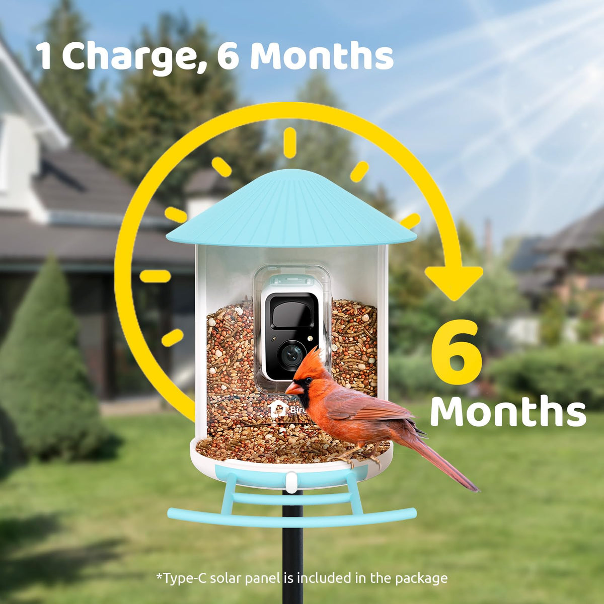 Birdfy Feeder z panelem słonecznym – karmnik z kamerą i AI