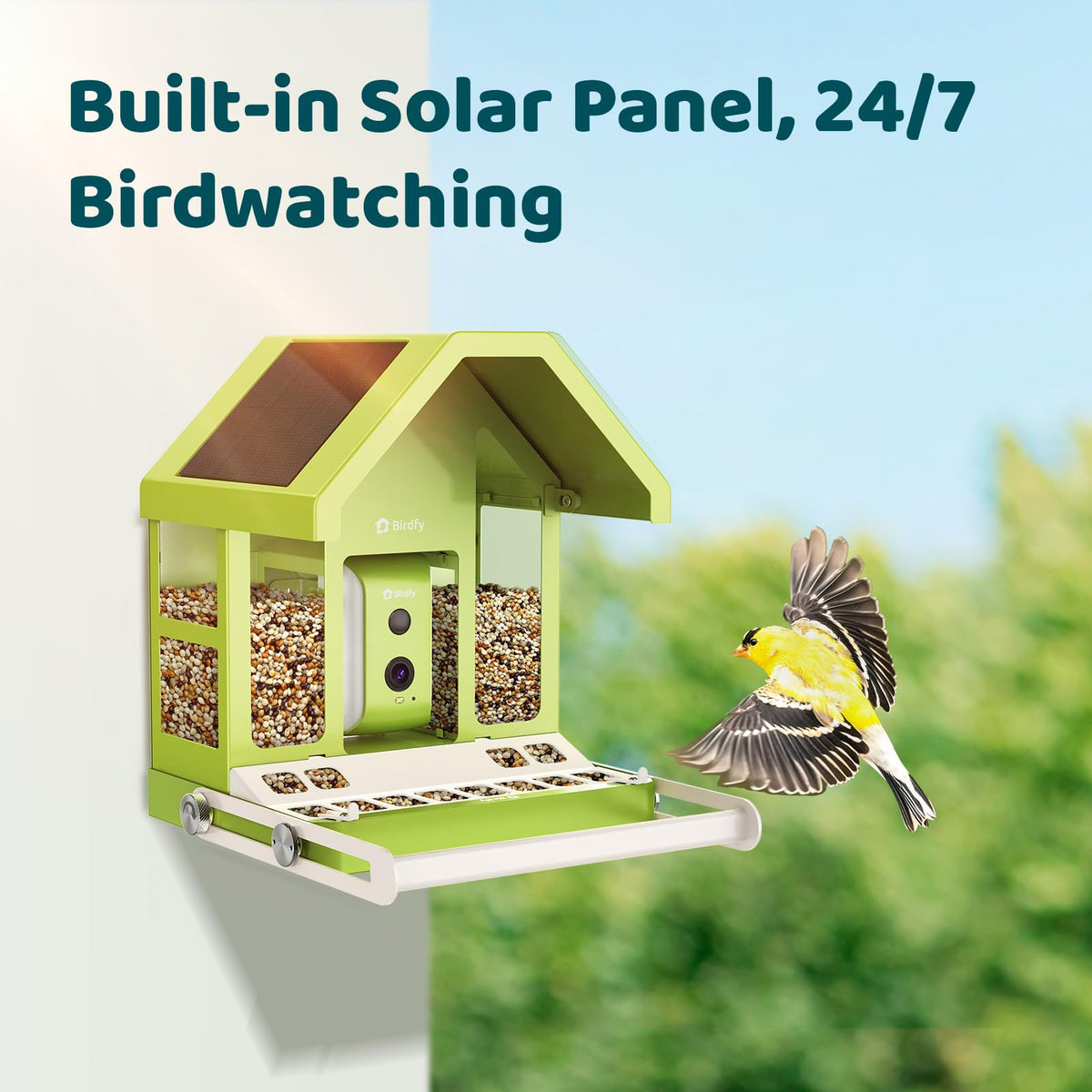 Birdfy Feeder Metal – wytrzymały, inteligentny karmnik z kamerą wykonany z metalu dla miłośników ptaków
