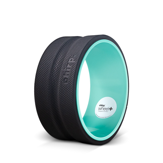 Chirp Wheel Plus 10" - koło do ćwiczeń, stretchingu, rehabilitacji, jogi, pilatesu 10''