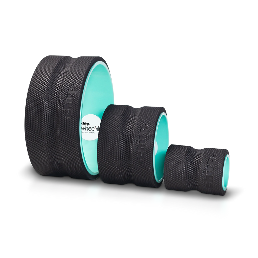 Chirp Wheel Plus 3 pk 4", 6", 10" - zestaw 3 kół do ćwiczeń, stretchingu, rehabilitacji, jogi, pilatesu 4", 6", 10" (3szt)